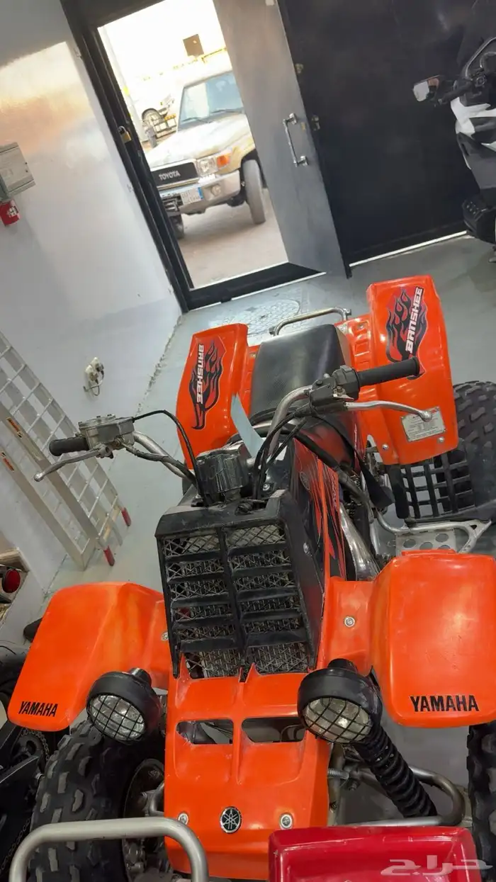 لبيع بانشي 1