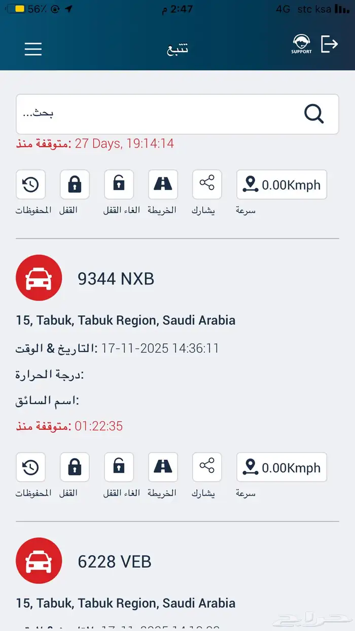 نخيل عربي فسائل نخل نخل عربي نقايل 94