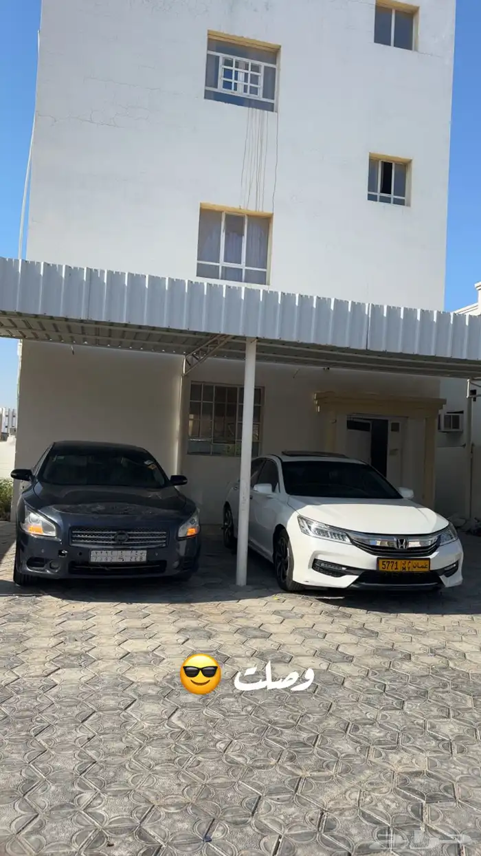 مكسيما 2011 11