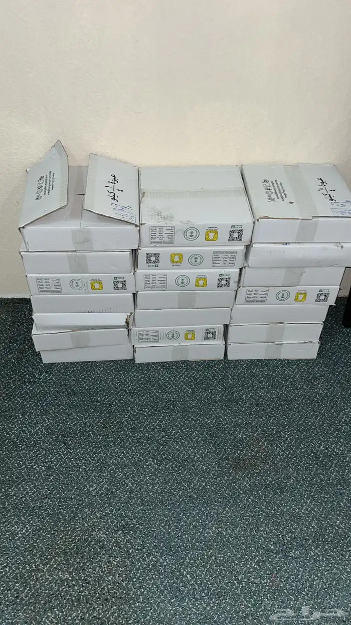 تمر صفري من ترج للبيع 2