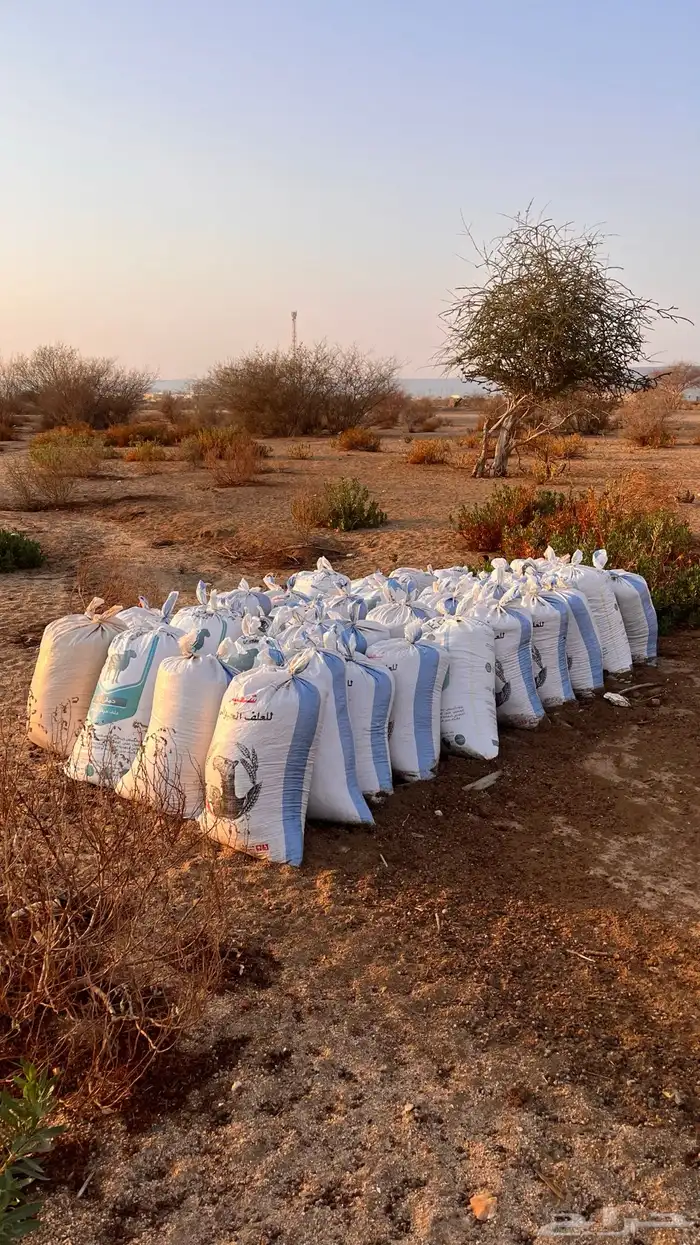 سماد حيوانات 3