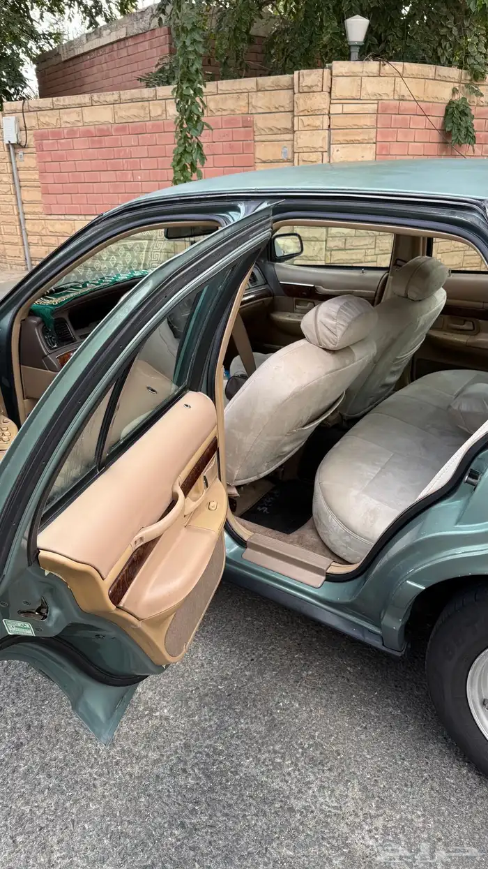 ماركيز 97 شد بلد 7