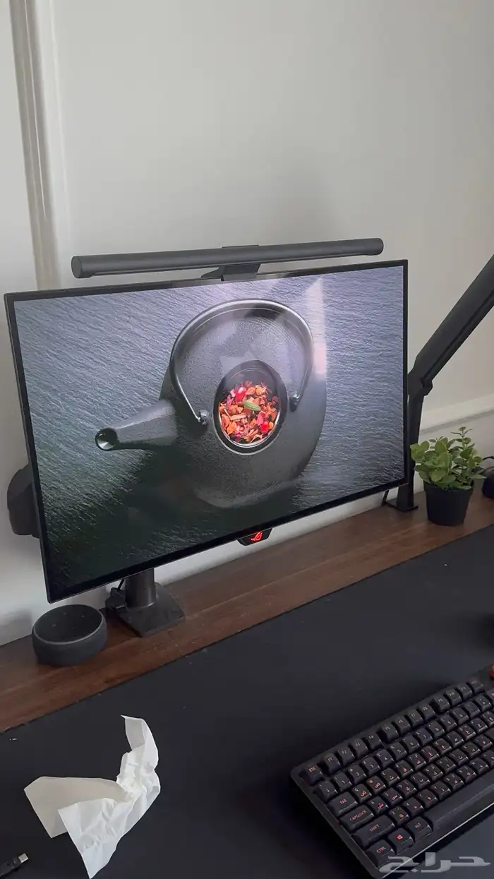 شاشة بي سي اوليد asus oled 2