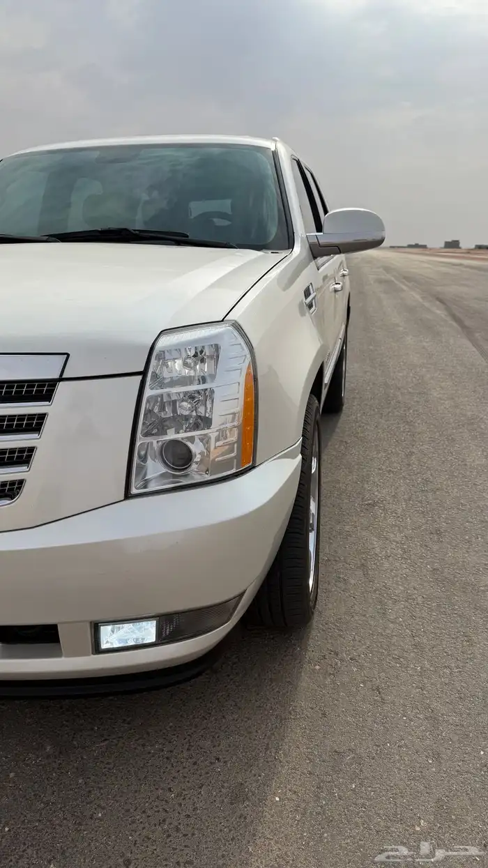 للبيع اسكاليد 2013 13