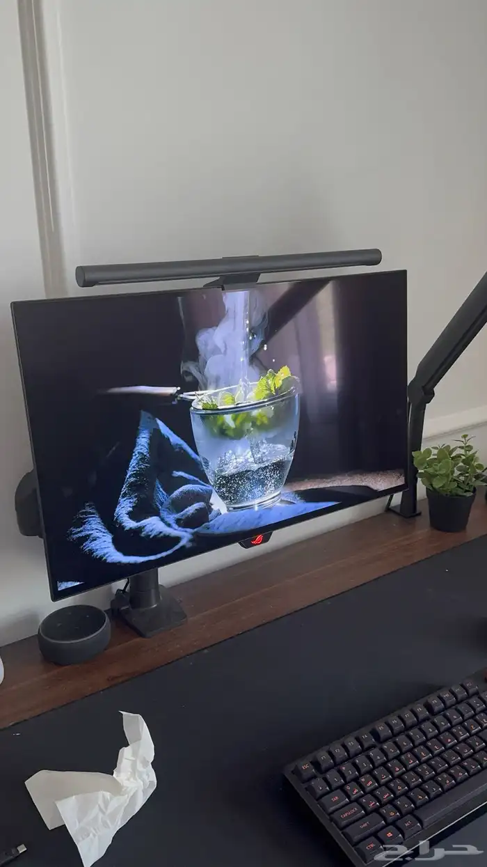 شاشة بي سي اوليد asus oled 1