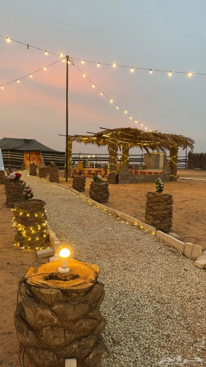 مخيم عسيب للإيجار اليومي رياض الخبراء 0