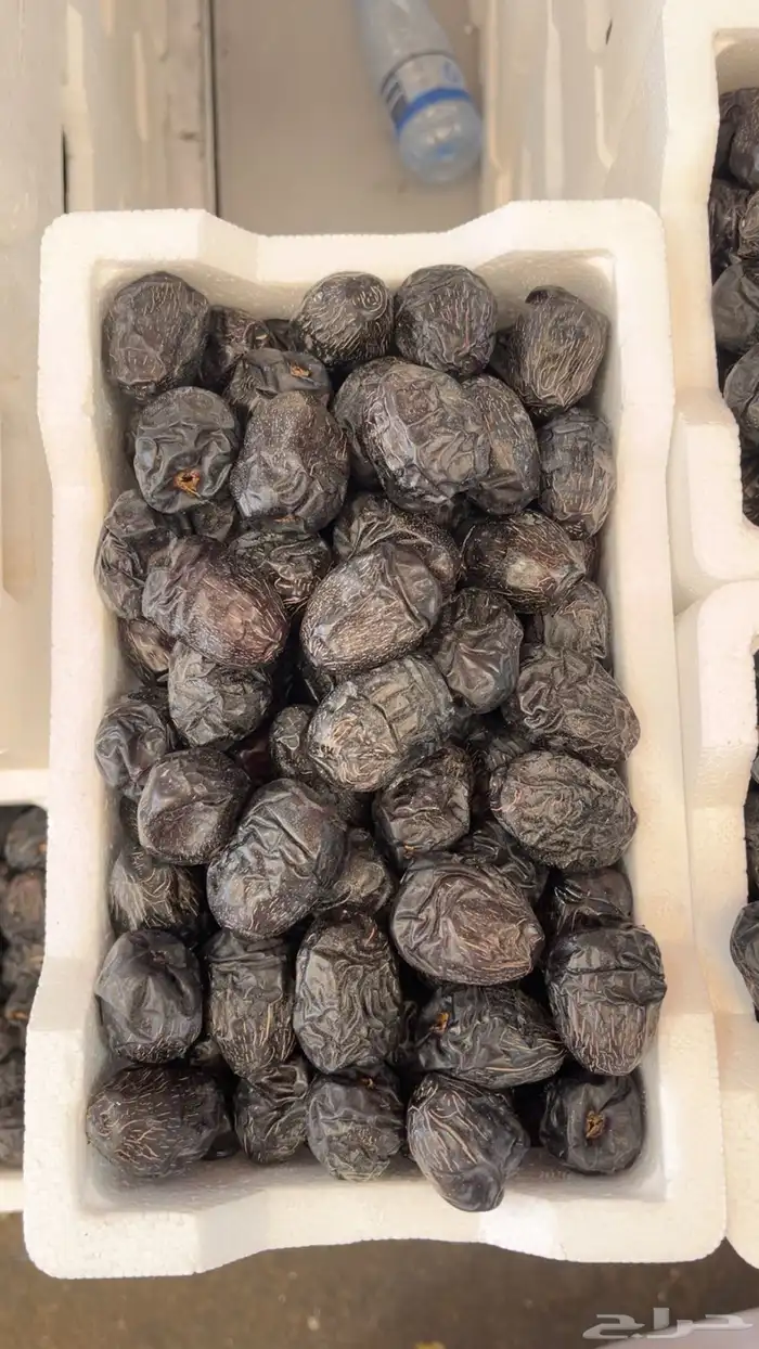 عجوة المدينه فلين حبه كبير 0