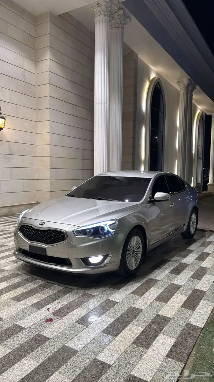 كادينزا 2014 2