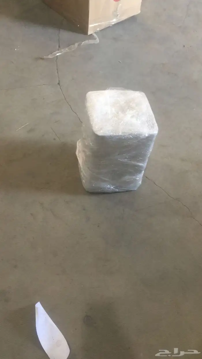 نخيل عربي فسائل نخل نخل عربي نقايل 92