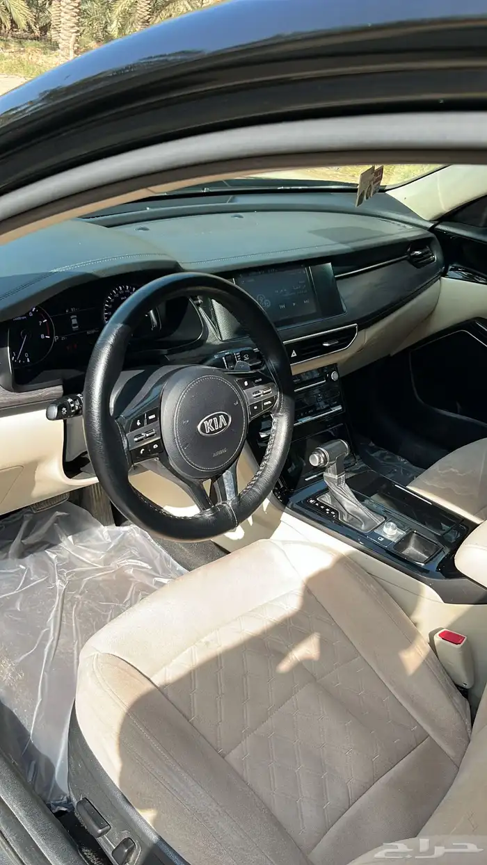 كياء كادنزا 2020 8