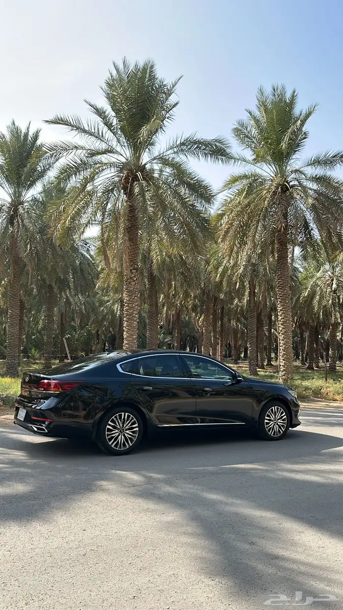 كياء كادنزا 2020 10