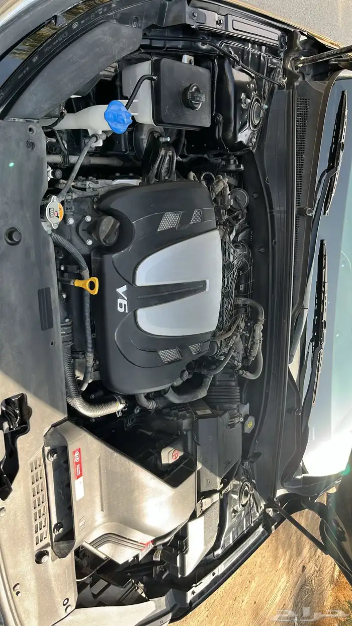 كياء كادنزا 2020 16