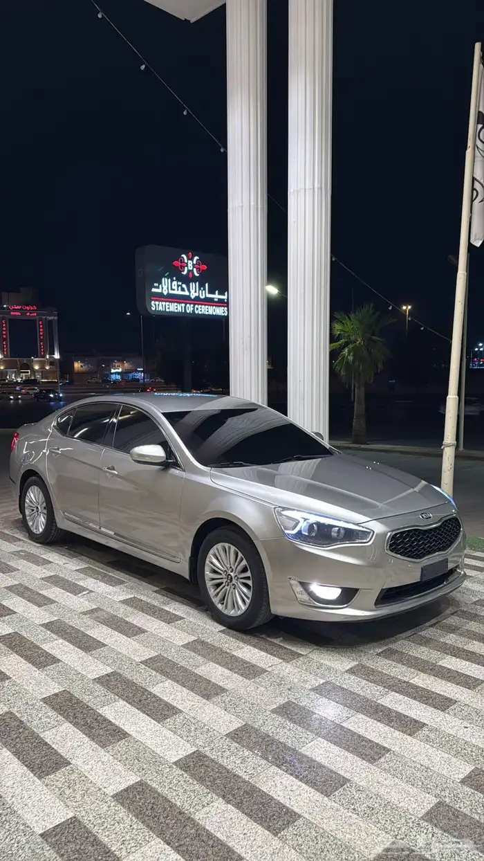 كادينزا 2014 3