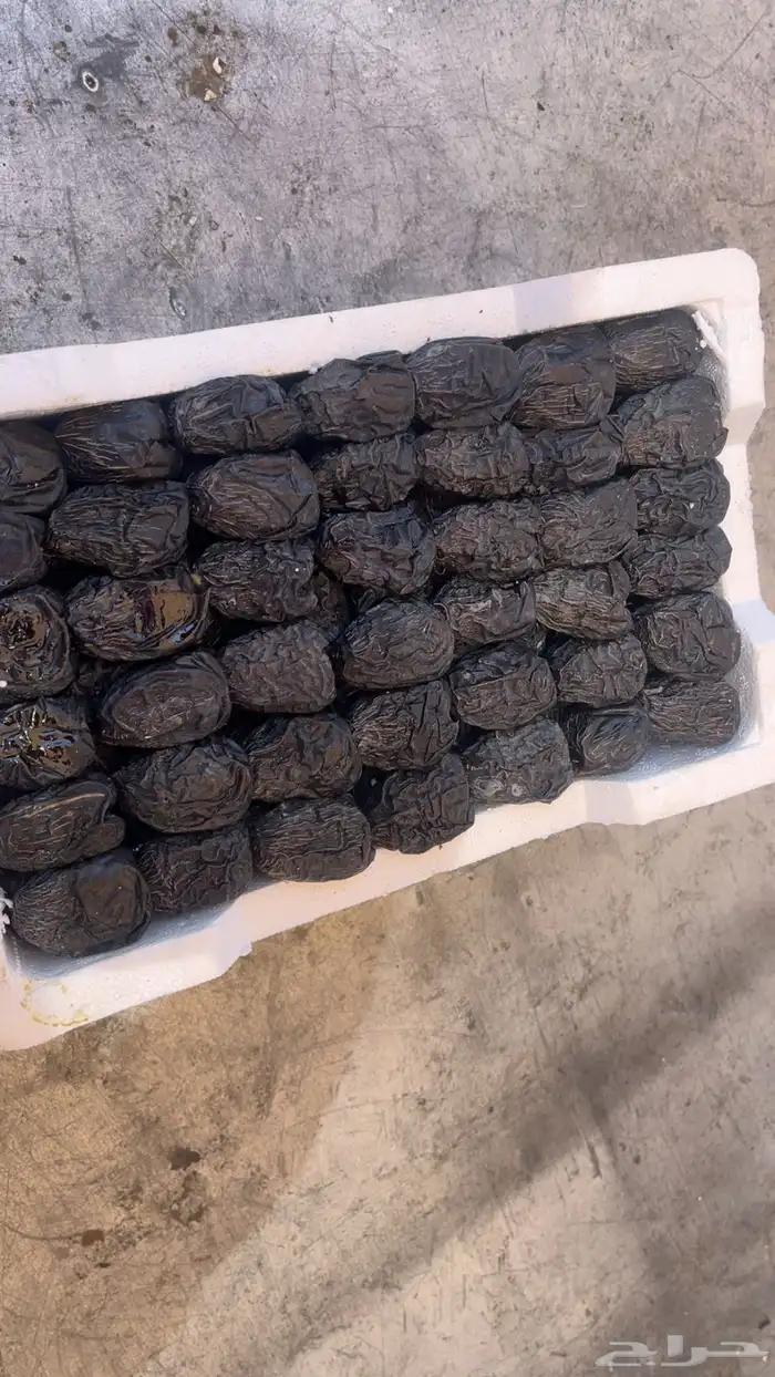 عجوة المدينه فلين حبه كبير 4