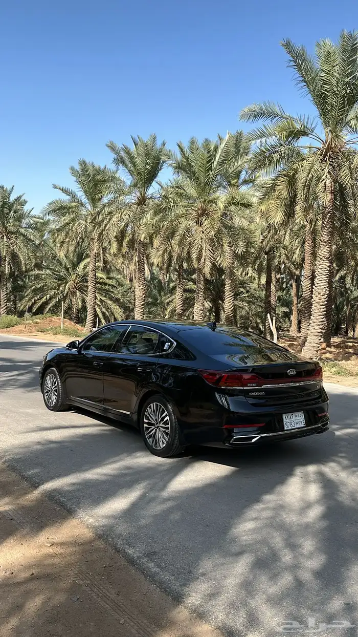 كياء كادنزا 2020 4