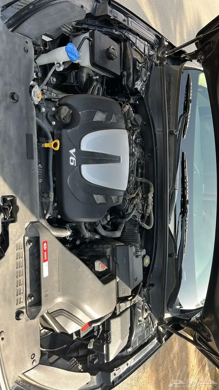 كياء كادنزا 2020 6