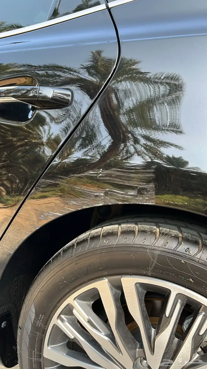 كياء كادنزا 2020 11