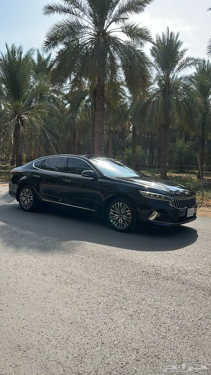 كياء كادنزا 2020 17