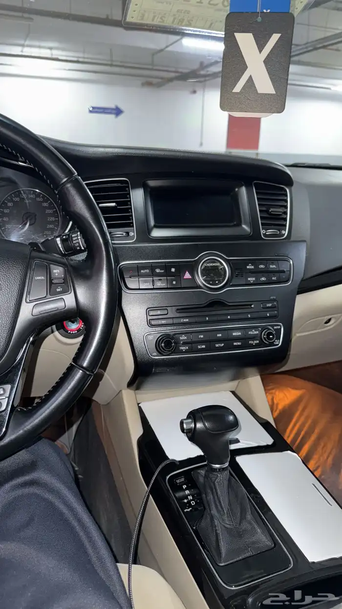 كادينزا 2014 4