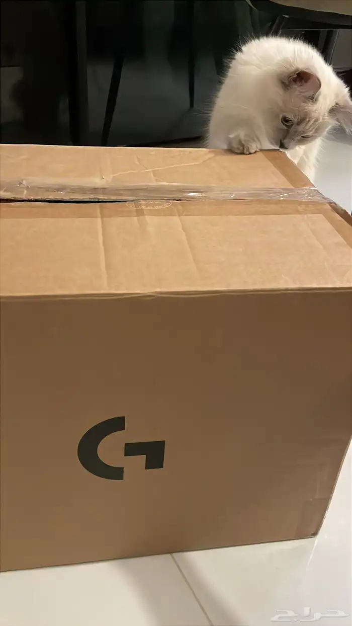 عجلة سباق لوجيتكG29 driving force دواسات قير(ناقل حركة) 5