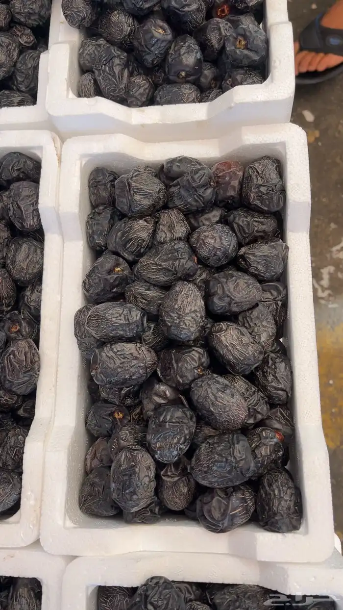 عجوة المدينه فلين حبه كبير 1