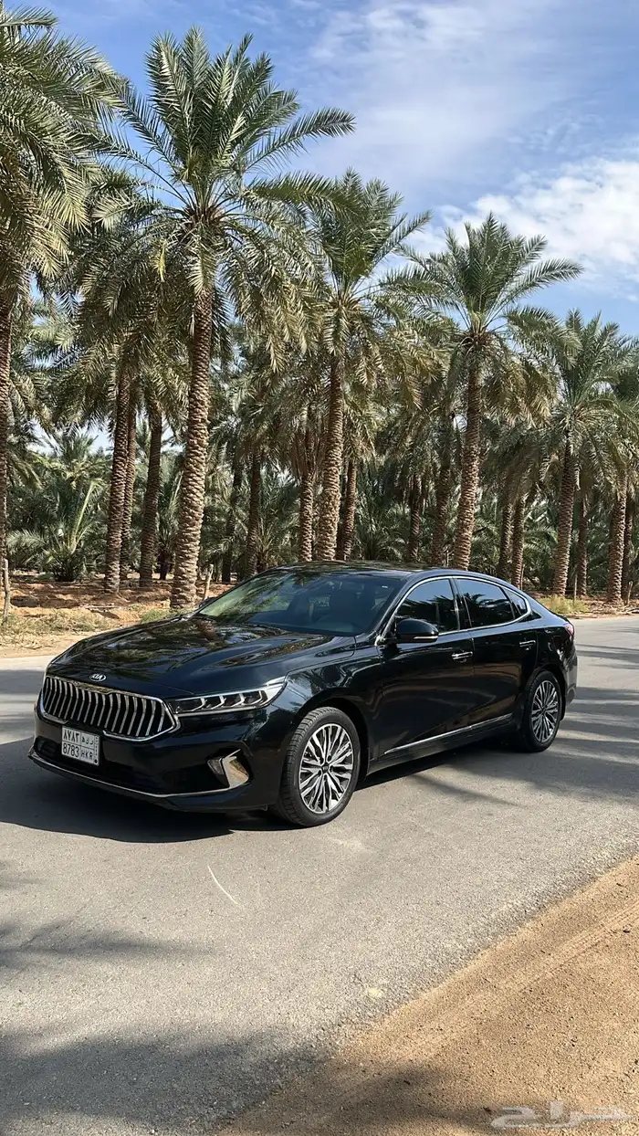 كياء كادنزا 2020 14