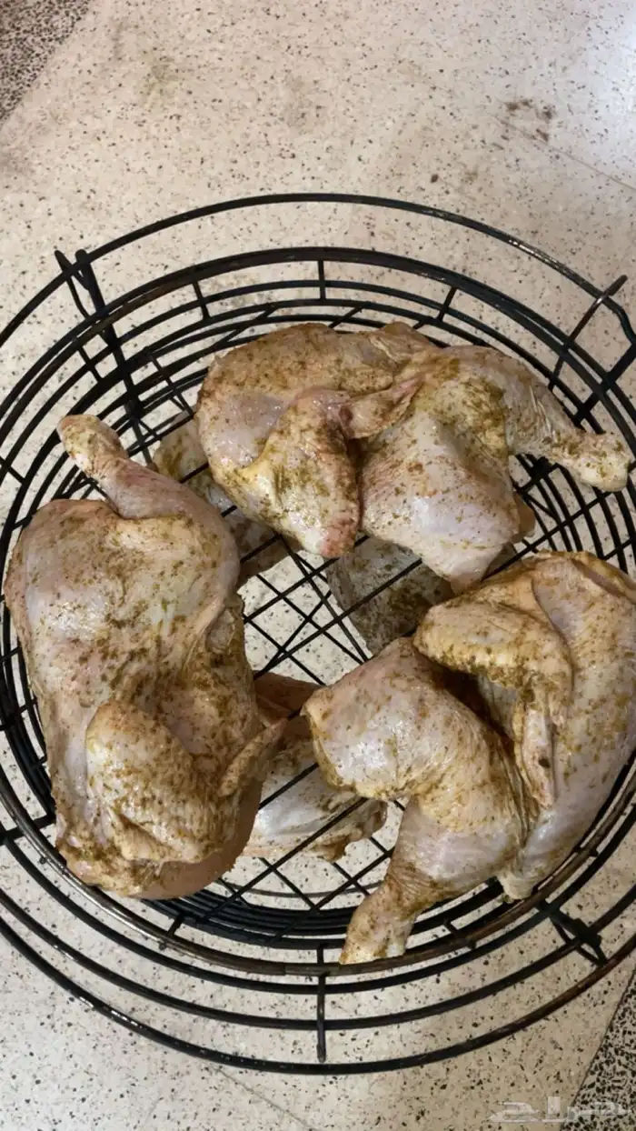 برميل  قدر مندي كهربائي شركةالمزين 16