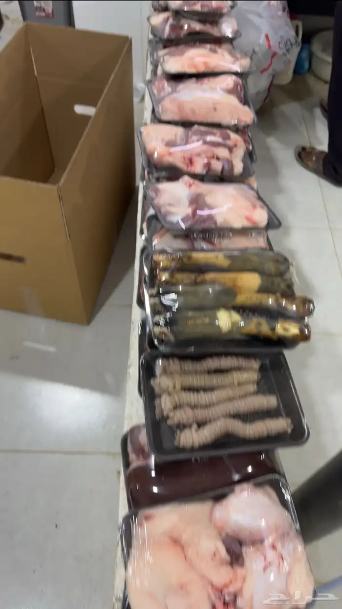 ذبايح بلدي شرط نصف ذبيحة او ذبيحة كامله 4