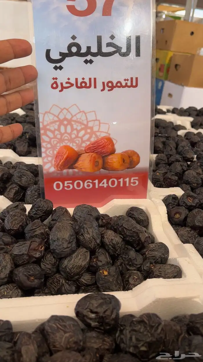 عجوة المدينه فلين حبه كبير 2