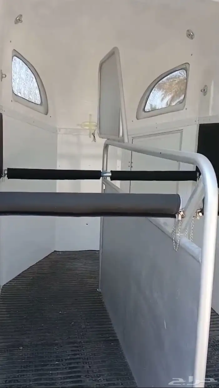 حصان شعبي عربه خيل 2