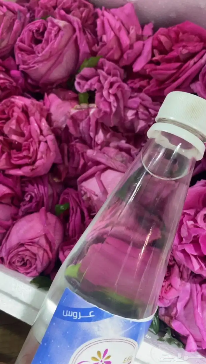 ورد  طايفي _ومنتجاته 4