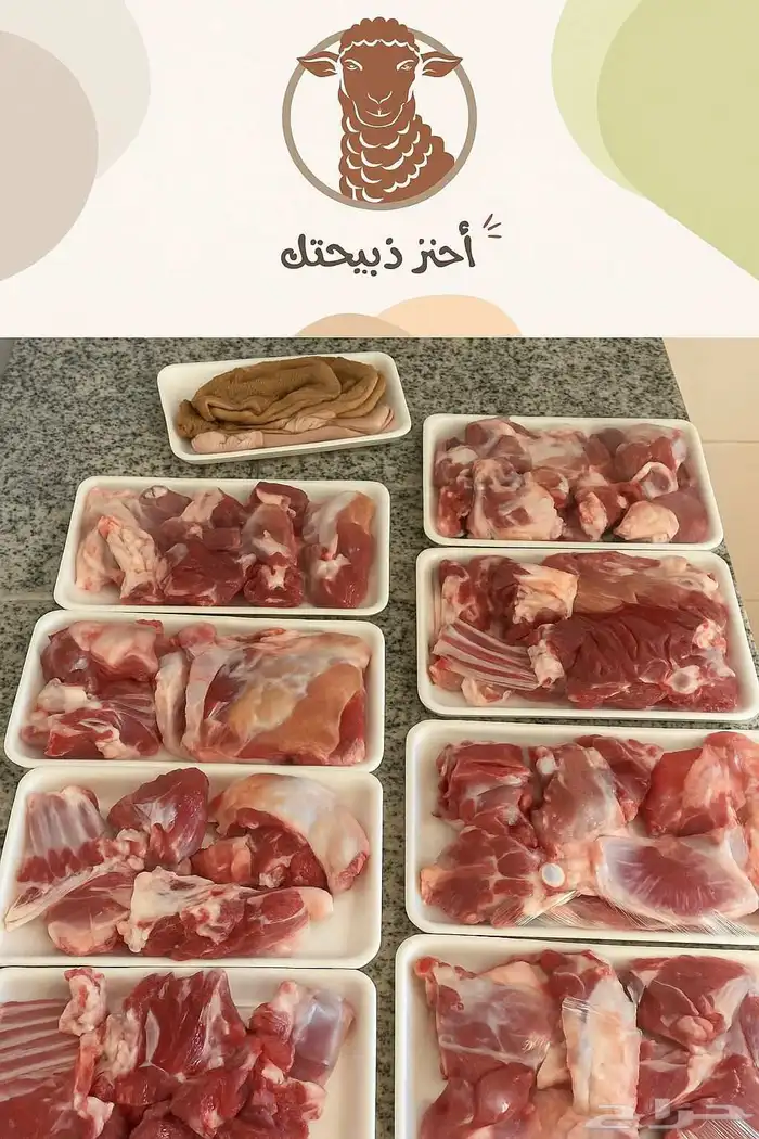 بيع تيوس مستوردة بالجمله والقطاعي 0