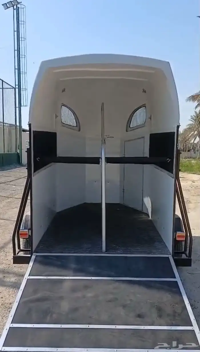 حصان شعبي عربه خيل 1