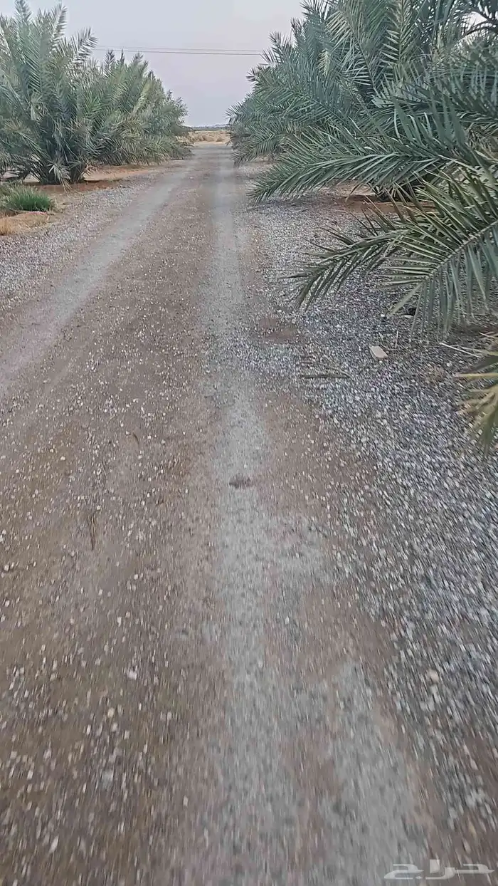 تانكي باترول باب واحد مديل 2013 منيوم نظيف شرط فتحتين ماء 1