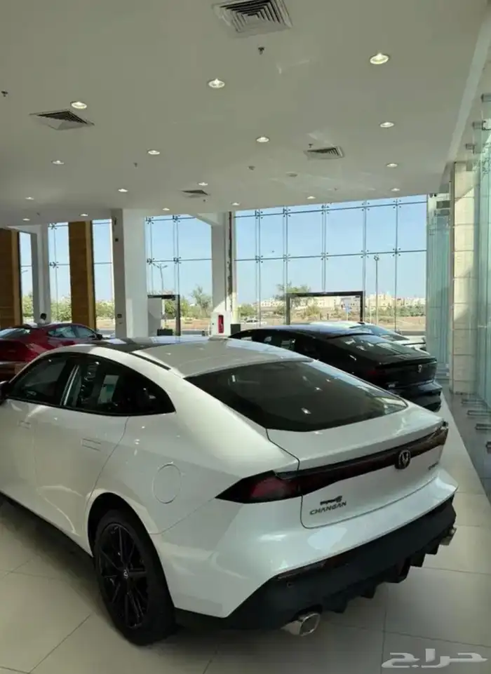 يوني في ايليت بسعر مميز 1