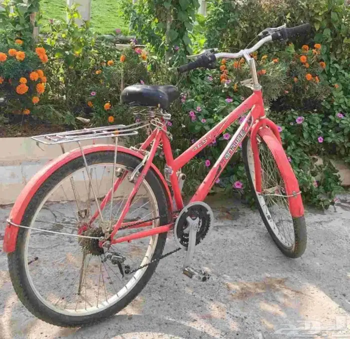 دراجة هوائية 0