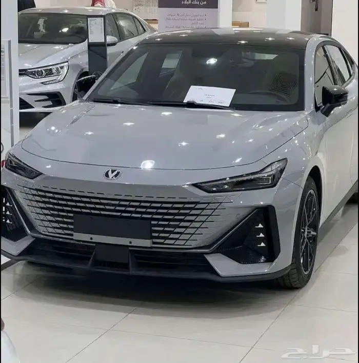 شانجان يونى فى اليت رجعت تانى 2026 وسعر ما يتفوت فعلا 6