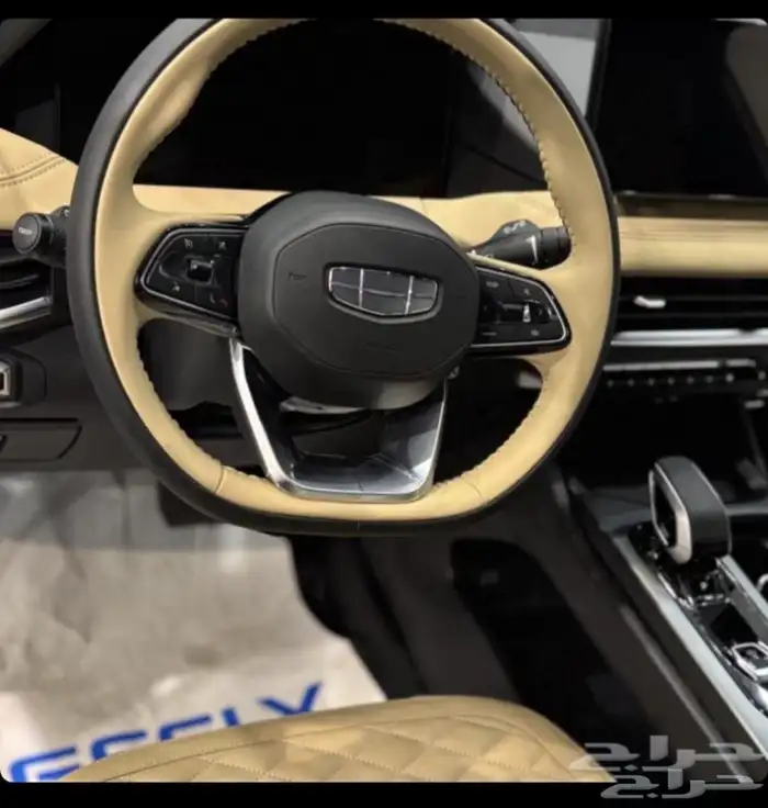 جيلي اوكافانجو 2025 3