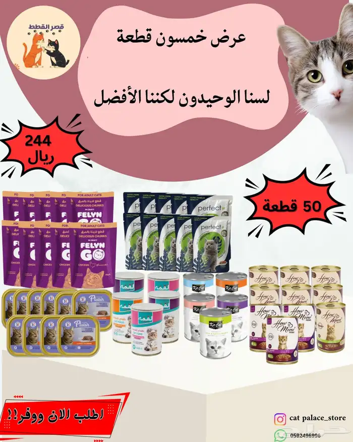 بكجات اطعمة قطط رخيصة 0