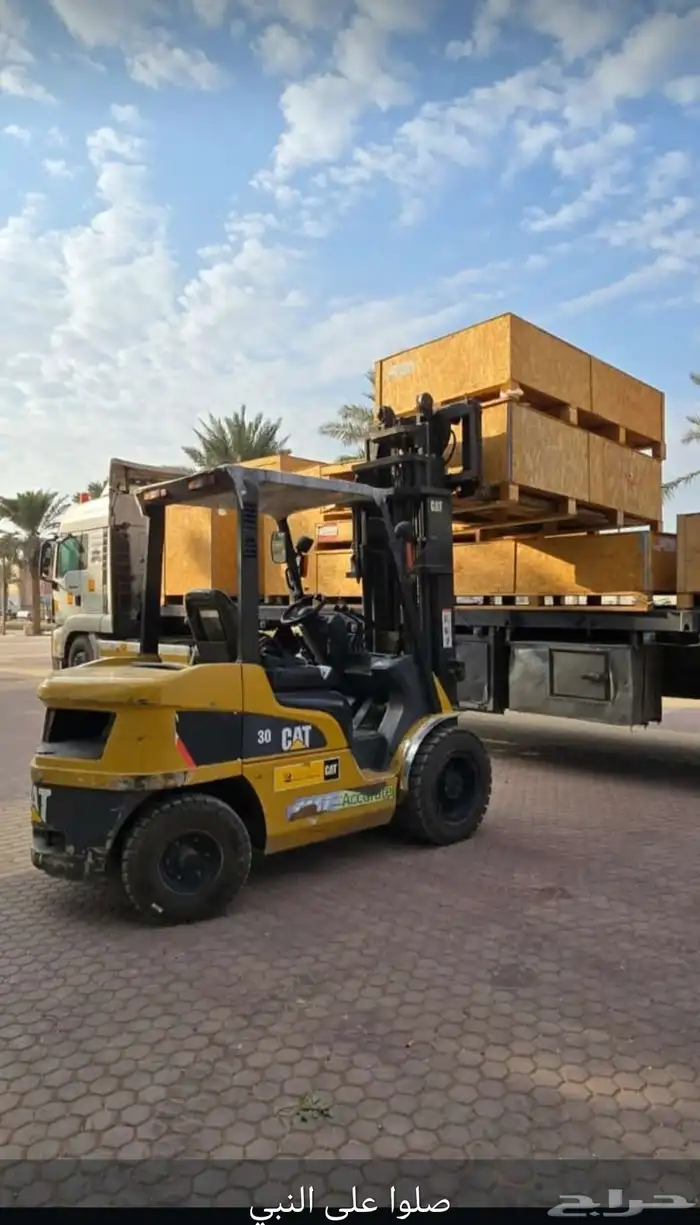 جيسبي مورلو رافعة شوكية بوبكات 4