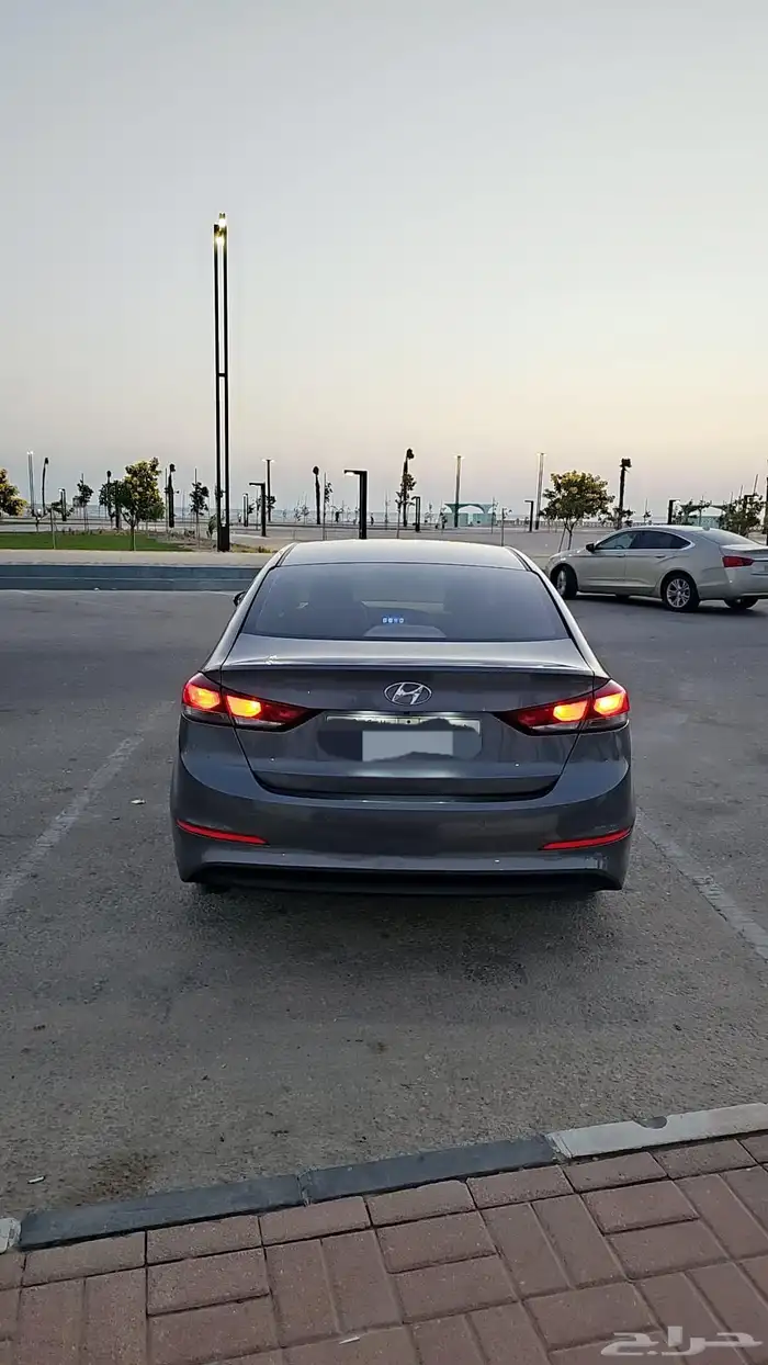 النتراء 2017 3