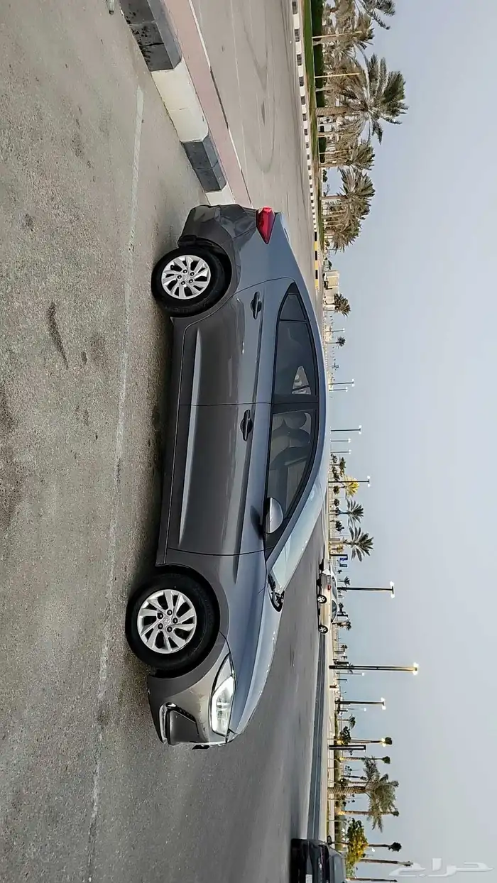 النتراء 2017 2