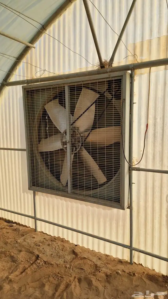 بيت محمي للبيع 8