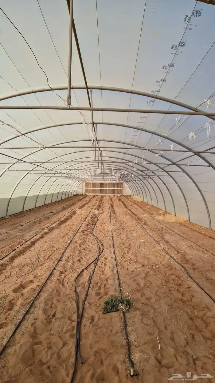 بيت محمي للبيع 6