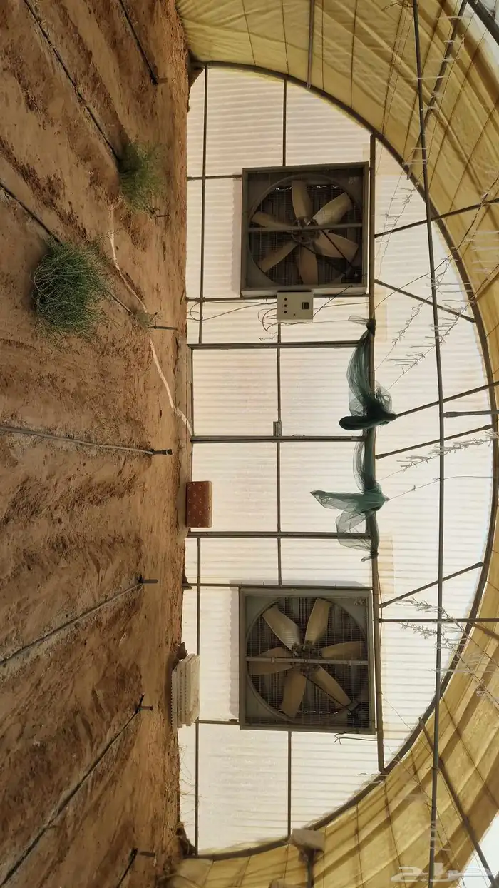 بيت محمي للبيع 2