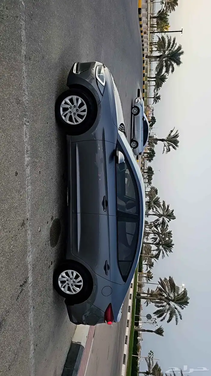 النتراء 2017 0