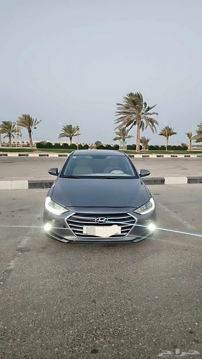 النتراء 2017 1