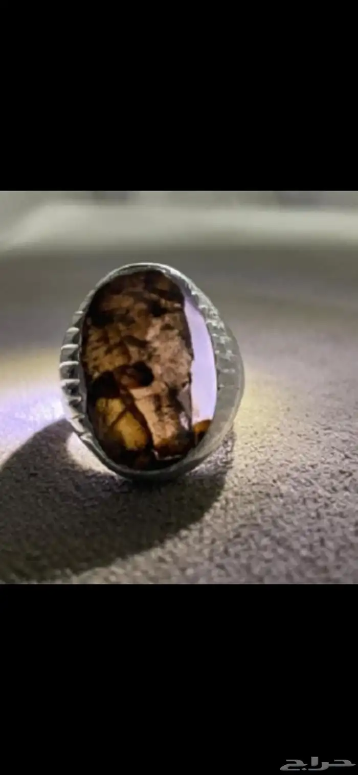 خاتمين من نوادر المصورات 2