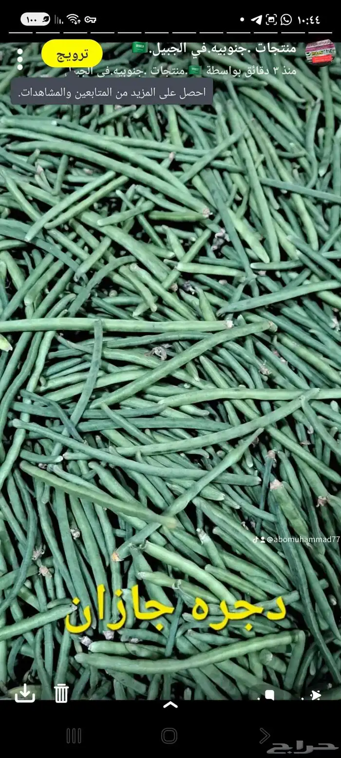 الحبيل البلد 5