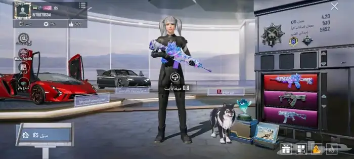 حساب ببجي سيارة لامبرجيني 0